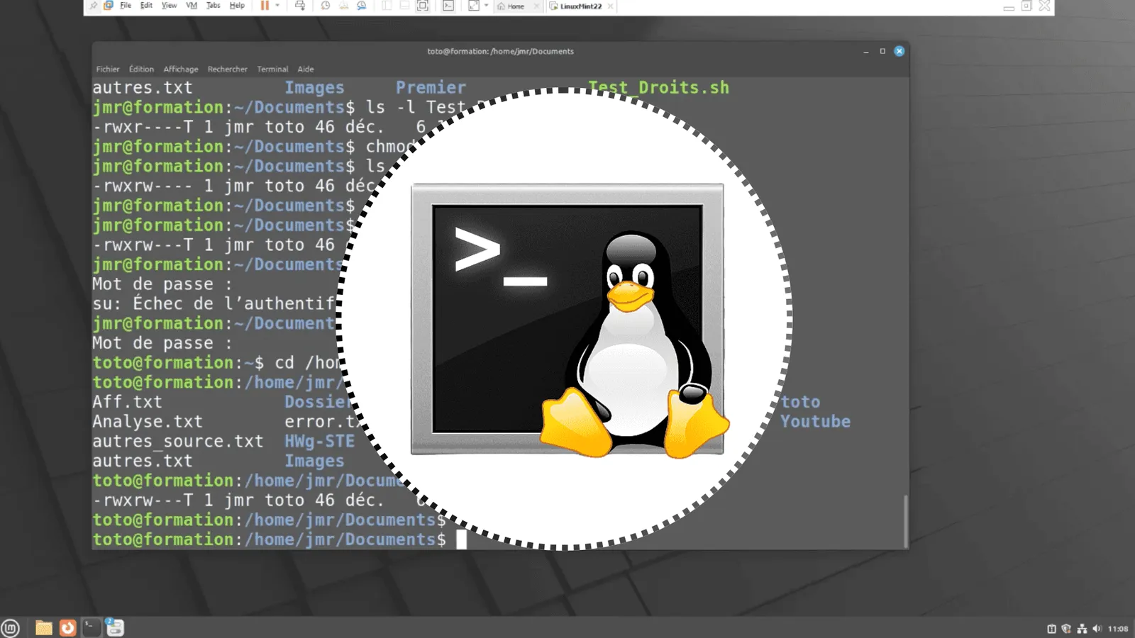 Commandes Linux essentielles : maîtriser le terminal, les fichiers, les droits et les scripts Bash – illustration Linux